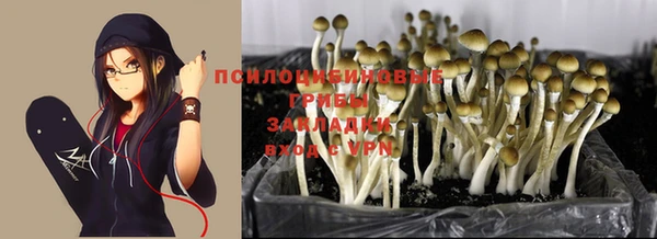 твердый Наволоки