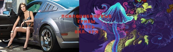 МДПВ Алексеевка