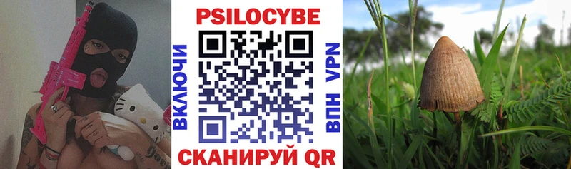 Купить где  Вологда  Галлюциногенные грибы мицелий 