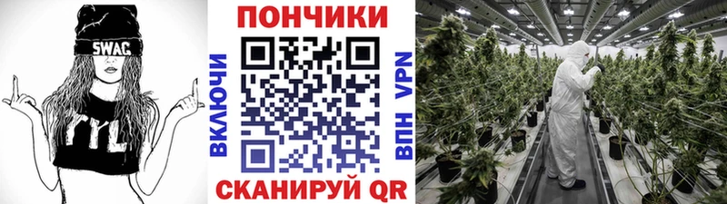 Купить где  Вологда  МАРИХУАНА MAZAR 